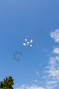 蓝色明亮的天空中的白色气球图片