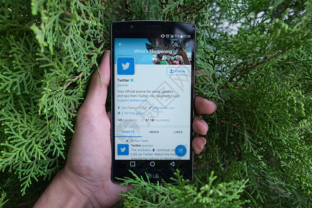 Twitter是一个在线社交网络与微博客服务图片