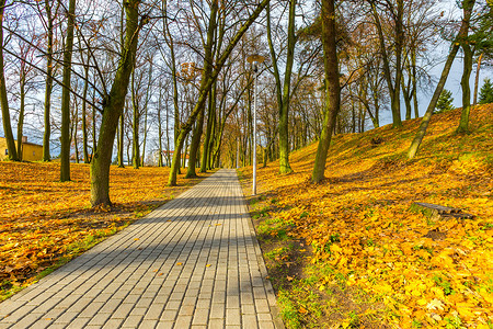 城市公园的秋天风景波兰小城市多背景图片