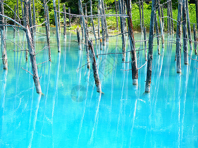 北海道的蓝色池塘背景图片