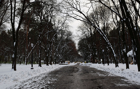 寒冬雪公园的路图片