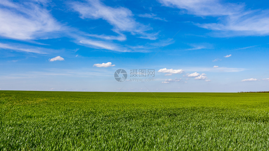 美丽的天空下的绿色作物草甸与云彩图片