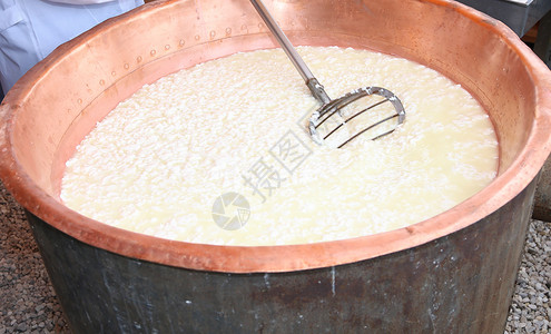 含发酵奶粉和伦网以在乳制品中制造奶酪的图片