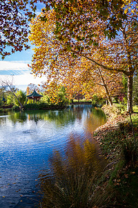 平和的秋天风景与宁静的池塘和各图片
