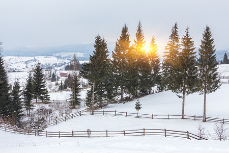 喀尔巴阡山脉美丽的冬季景观图片