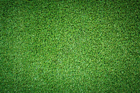 绿色假草地皮图片