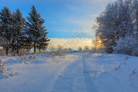 与天空和森林的冬季雪景图片