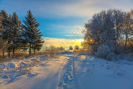 与天空太阳和森林的冬季雪景图片