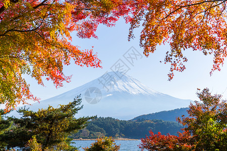 秋天的季节和富士山图片