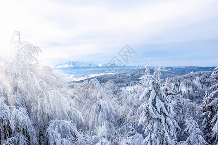 高塔特拉山脉风景如画图片