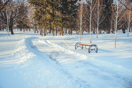 冬季风景公园阳图片