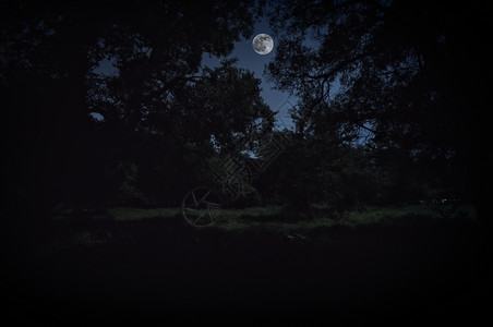 山边草原上的绿草月光下草地的森林图片