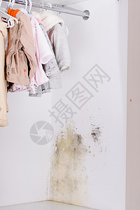 壁橱和架子上的持久霉菌挂孩子的衣服背景图片