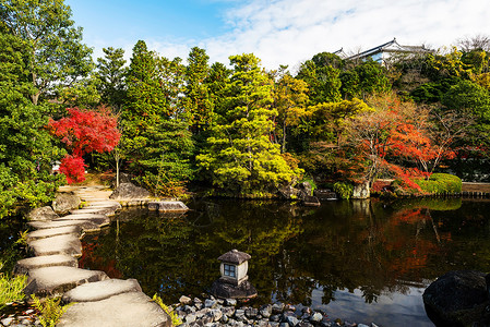 在池塘上反射花粉色的秋花园兵库背景图片