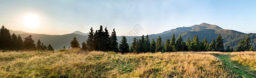 山丘森林和松树的日落全景图片