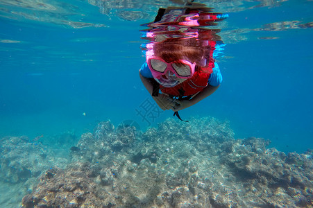斐济瓦努莱阿武岛的珊瑚礁上下潜图片