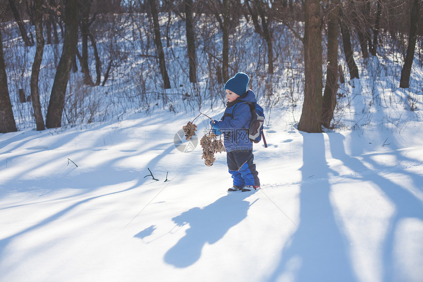 小男孩拿着树枝穿过雪地图片