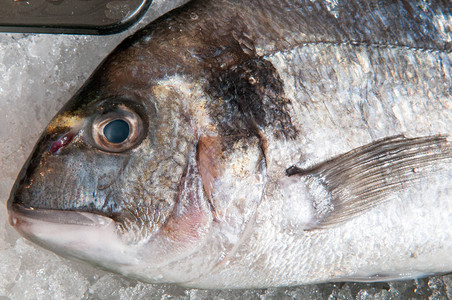 鱼在当地市场的冰上关闭背景图片