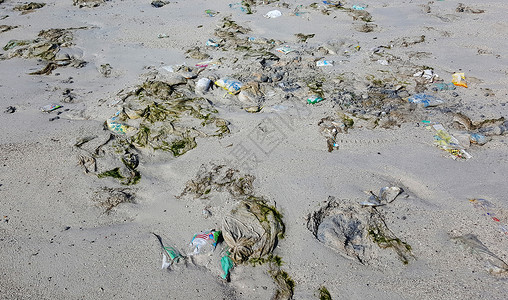 沙滩上埋在沙滩上的海滩污染图片