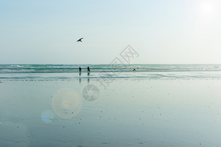 新西兰北地九十里海滩宽阔平坦的沙滩上图片