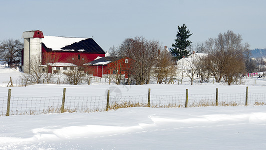 晚冬覆盖的草地和农场积雪图片