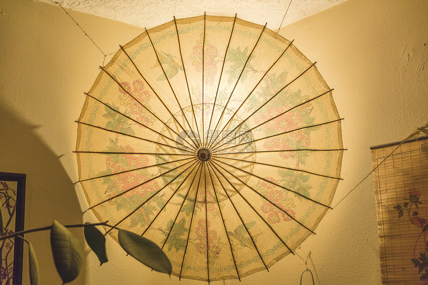 亚洲雨伞的花卉设计用作家居图片