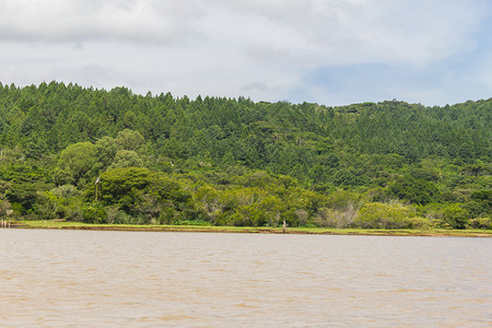 有植被的Guaiba湖ItapuaViamao图片