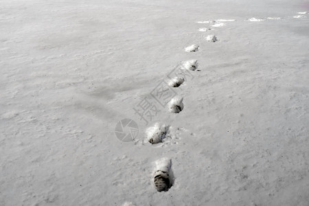 雪地里的人类脚印图片