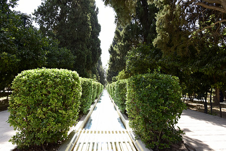 伊朗设拉子的Eram花园高清图片
