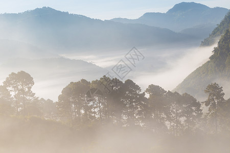 山景阴霾晨雾日出时山雾图片