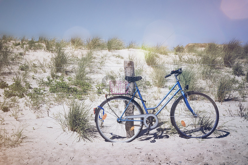 在波罗的海滩草覆盖沙丘上的木栅栏上停靠在一木篱笆柱子图片
