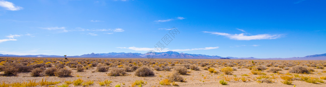 沙漠地区全景图片