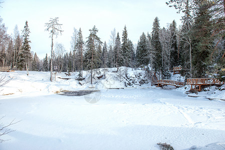Karelia俄罗斯冬季森林和河流的图片