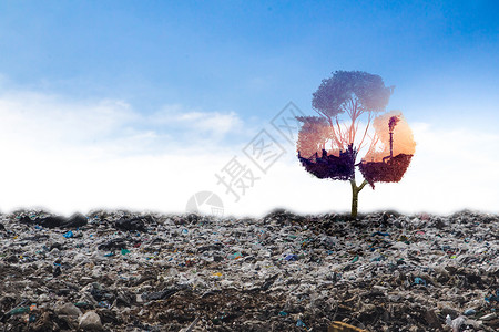 概念回收大树在垃圾图片
