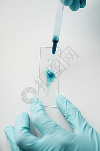 科学家与实验室试剂和玻璃显微镜幻灯片合图片