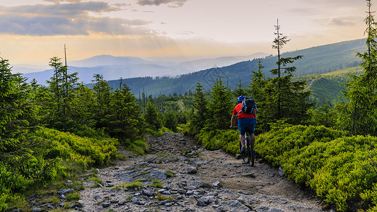 山地自行车骑自行车在夏季山区森林景观男子骑自行车MTB流径赛道图片