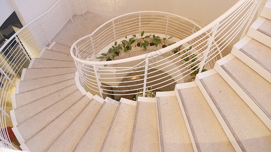 现代建筑内部的螺旋楼梯有绿色植图片