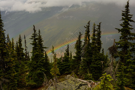 寒冷的晨雾与山中的彩虹图片