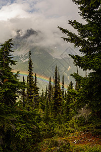 寒冷的晨雾与山中的彩虹图片
