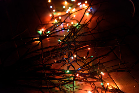 木树枝上的时尚复古圣诞花环灯图片