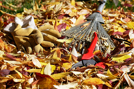 秋季园艺的园艺工具秋季园艺图片