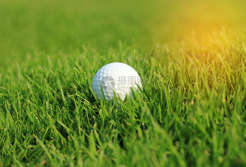 球道上粗糙草地上的白色高尔夫球图片