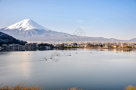 秋天的富士山河口湖雪景背景图片