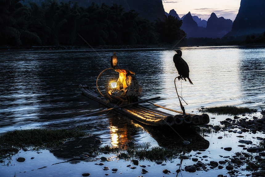 漓江鸬鹚渔夫在著名的漓江边休息图片