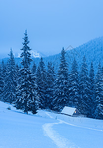 冬季风景山林中木背景图片