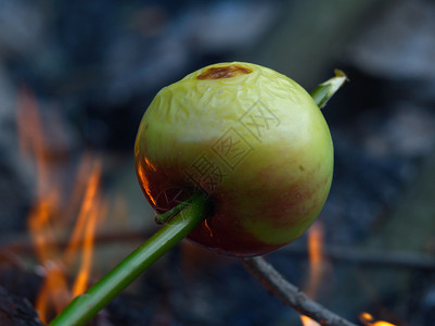 红绿苹果在火上烤串图片