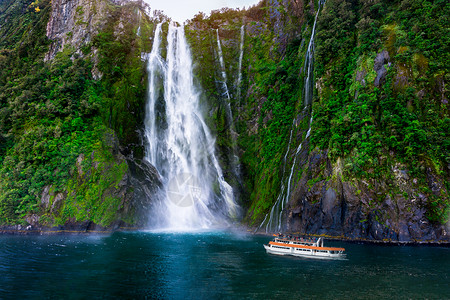 新西兰南岛米尔福德峡湾的斯特灵瀑布图片