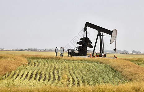 加拿大石油杰克杰克萨斯喀彻温加拿大图片