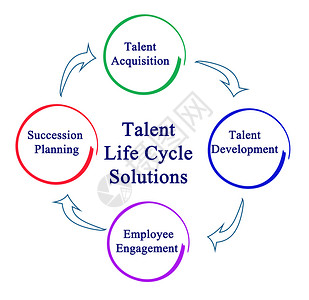 人才生命周期解决方案图片