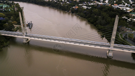 EleanorSchonell桥在昆士兰州布里斯班Brisba图片